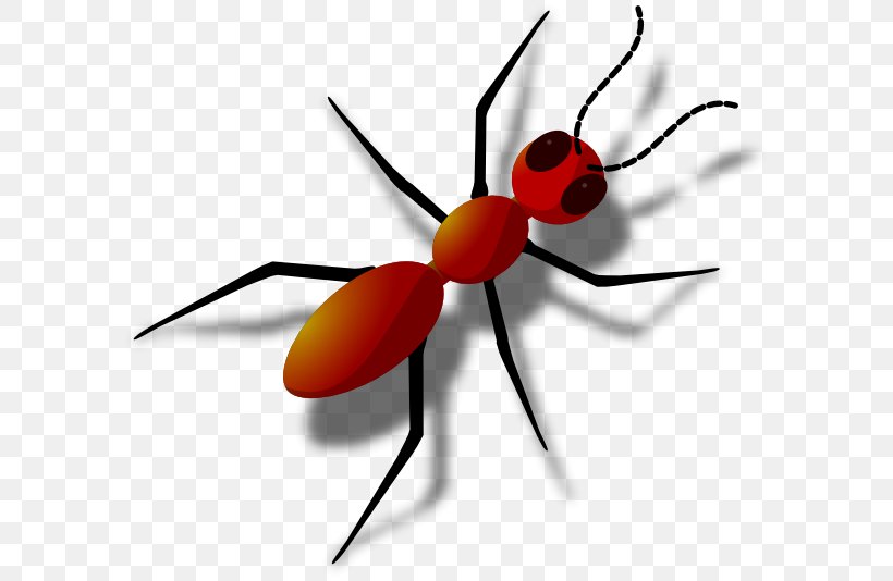 Black Garden Ant Clip Art, PNG, 600x534px, Ant, Arthropod, Black Garden Ant, Fire Ant, Fly Download Free