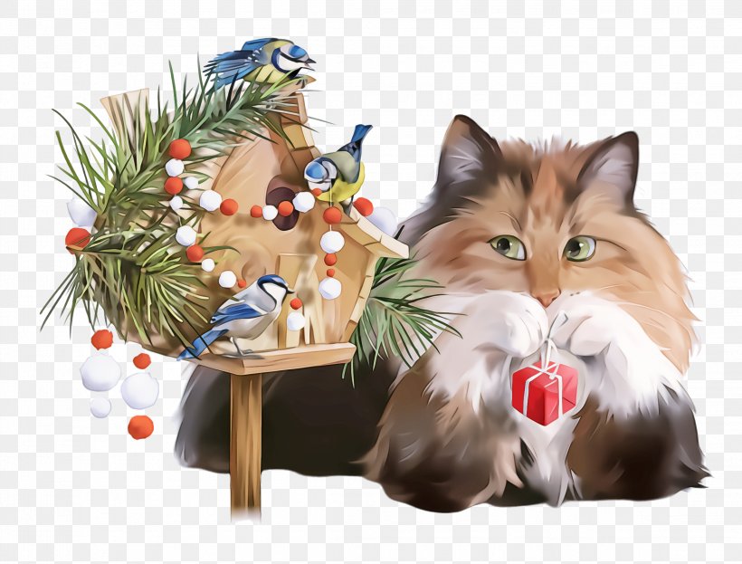 Christmas Ornament, PNG, 2292x1744px, Cat, Christmas Ornament, Kitten, Norwegian Forest Cat, Persian Download Free