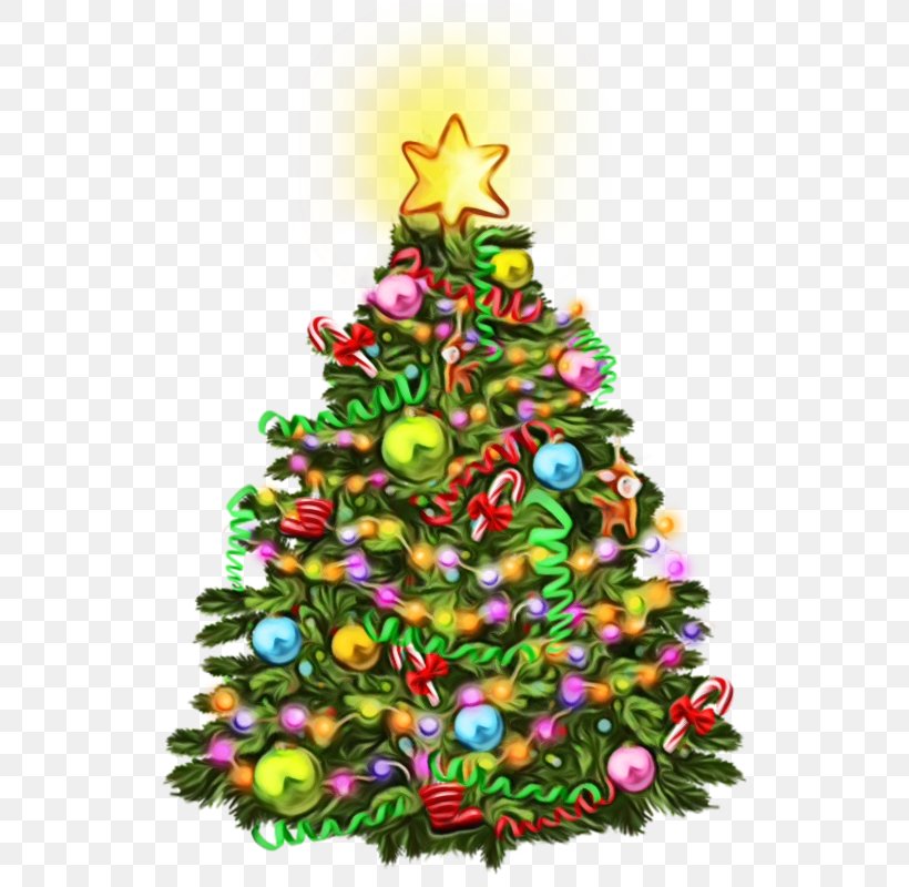 Christmas Tree, PNG, 800x800px, Watercolor, Christmas, Christmas Decoration, Christmas Ornament, Christmas Tree Download Free