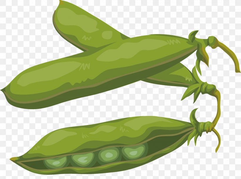 Edamame Soybean Vegetable Green Pea, PNG, 2269x1688px, Edamame, Bean, Broad Bean, Coffee Bean, Commodity Download Free