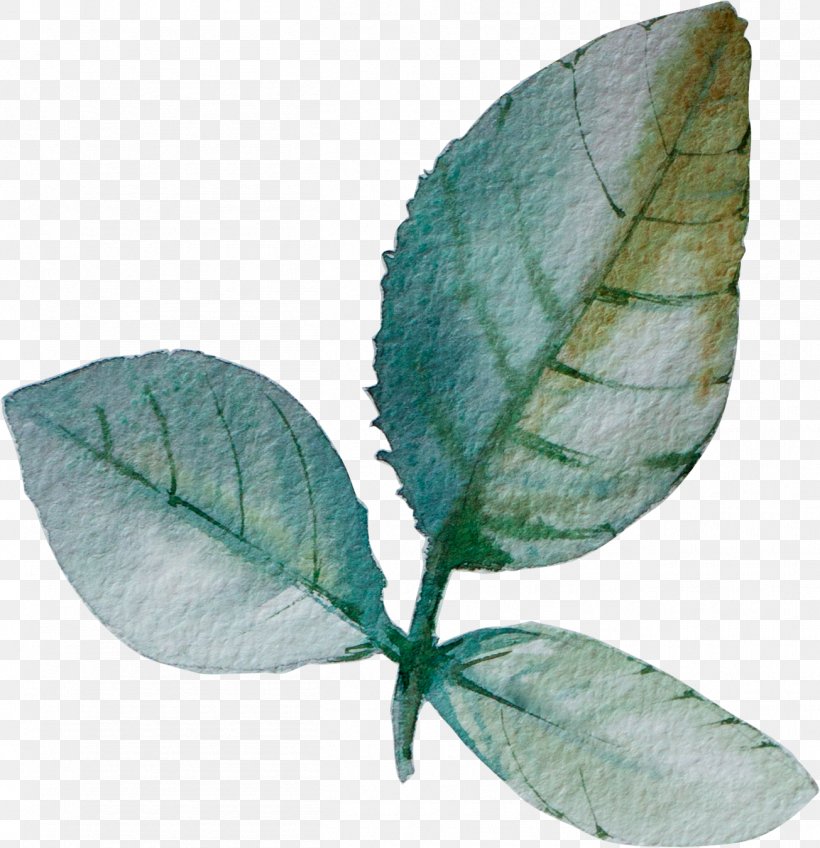 Leaf Paper, PNG, 1305x1351px, Leaf, Colored Pencil, Paper, Plant, Plant Pathology Download Free