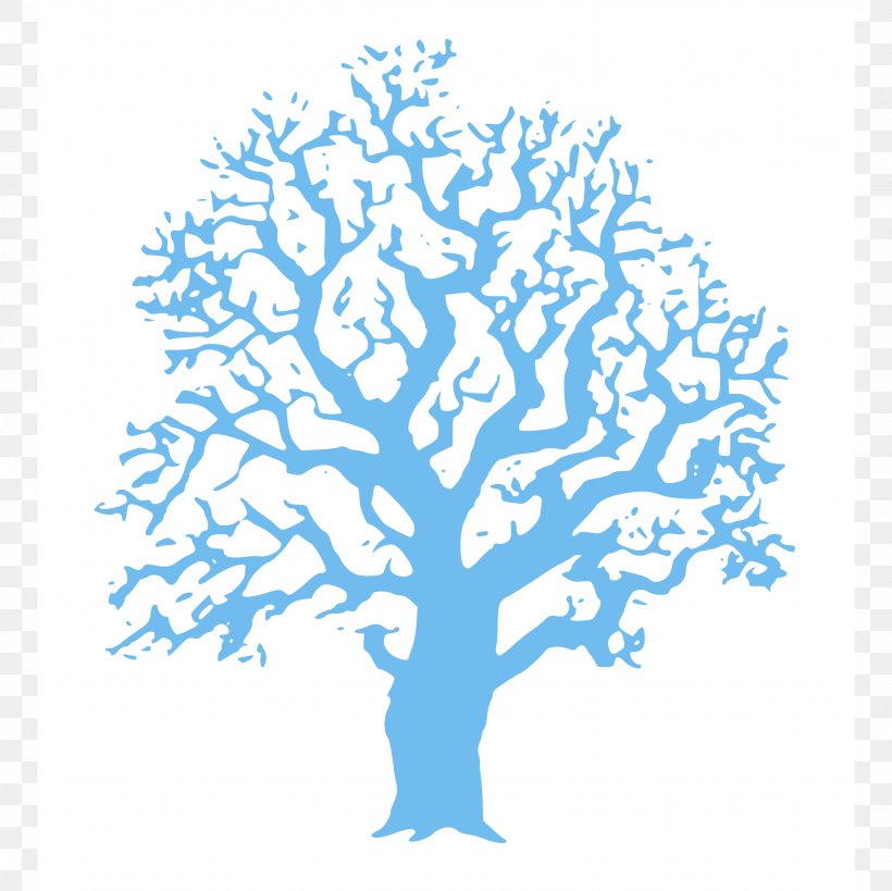 Clip Art Tree Vector Graphics Drawing, PNG, 2708x2708px, Tree, Botany, Branch, Drawing, Electric Blue Download Free