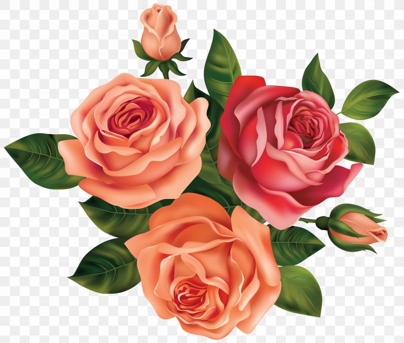 Rose Flower Clip Art, PNG, 5000x4239px, Rose, Artificial Flower, Black Rose, Blog, Cut Flowers Download Free