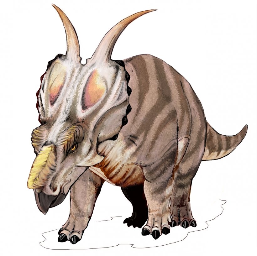 Centrosaurus Einiosaurus Pachyrhinosaurus Styracosaurus Achelousaurus, PNG, 1284x1280px, Centrosaurus, Achelousaurus, Centrosaurinae, Ceratopsia, Ceratopsidae Download Free