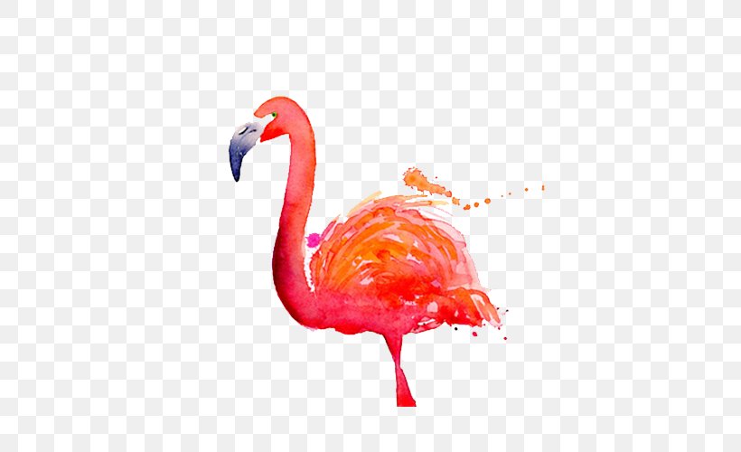 Flamingo Watercolor Painting Dribbble, PNG, 500x500px, Flamingo, Beak, Bird, Designer, Dribbble Download Free