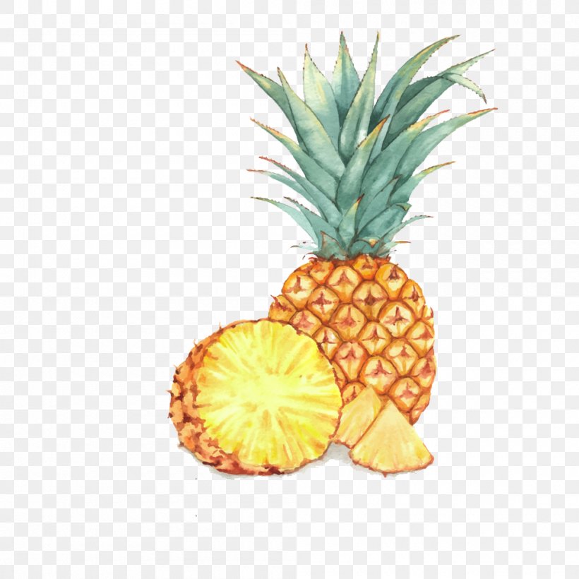 Fruit Watercolor Painting Drawing Illustration, PNG, 1000x1000px, Fruit, Ananas, Art, Bromeliaceae, Creative Market Download Free