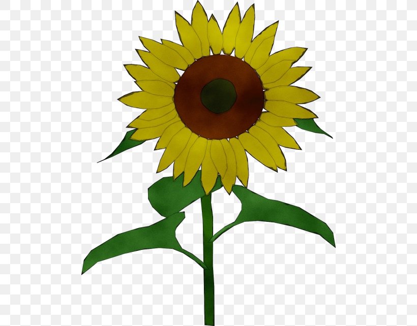 Sunflower, PNG, 500x642px, Watercolor, Flower, Paint, Petal, Plant Download Free