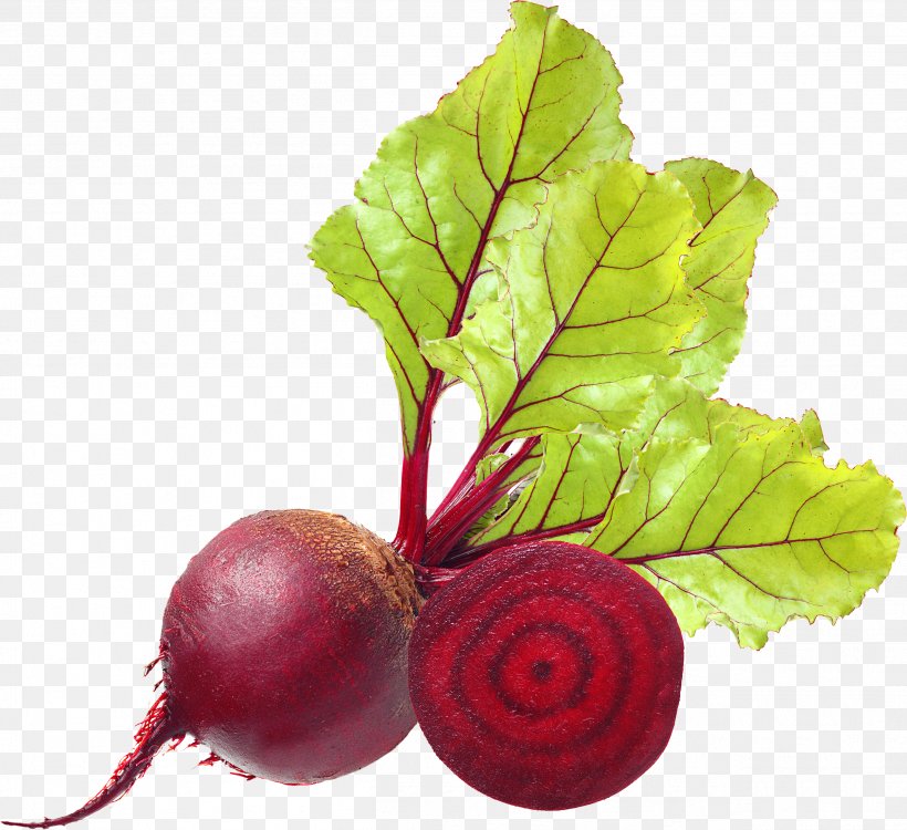 Beetroot Icon Clip Art, PNG, 2512x2298px, Common Beet, Beet, Beetroot, Beta, Chard Download Free
