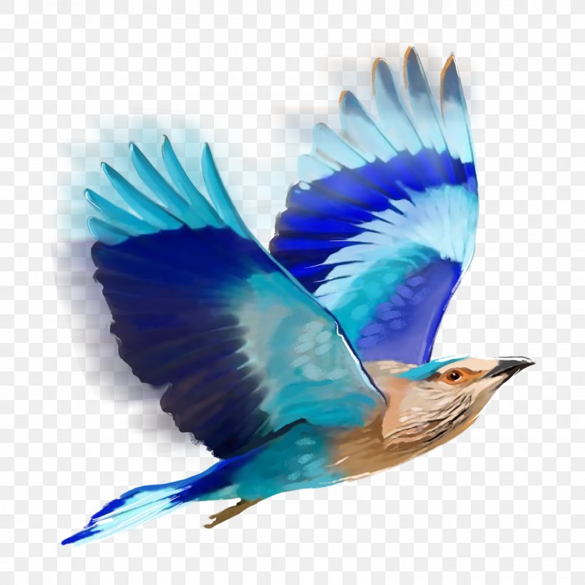 Bird Editing PicsArt Photo Studio, PNG, 1600x1600px, Bird, Beak, Bluebird, Editing, Facebook Download Free