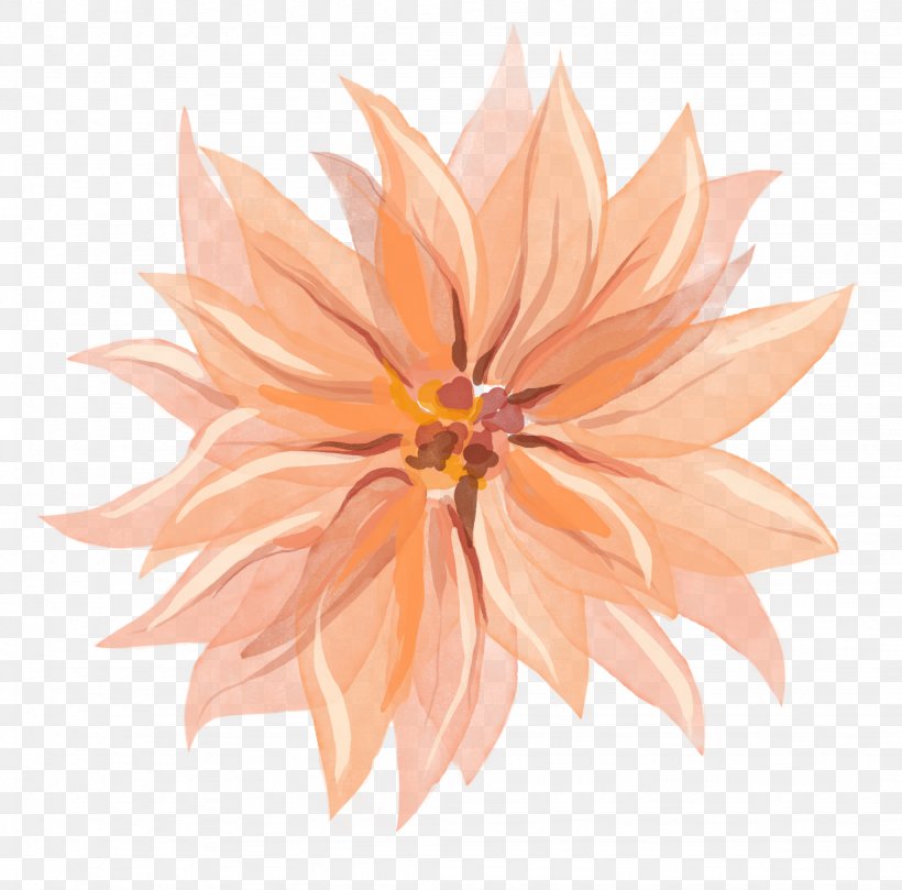 Dahlia, PNG, 2048x2021px, Dahlia, Daisy Family, Flora, Flower, Flowering Plant Download Free