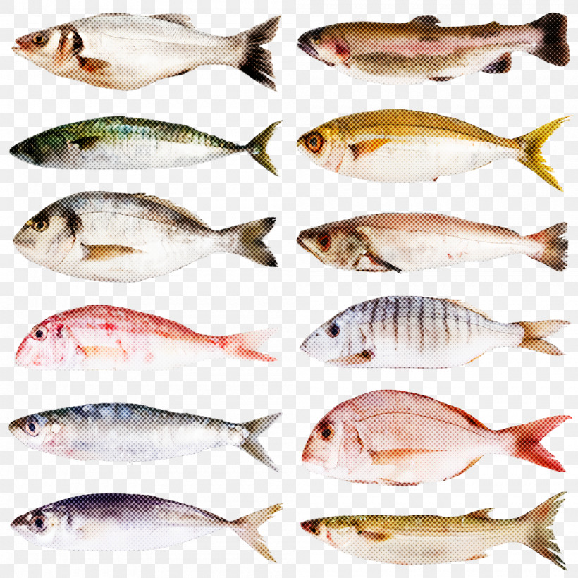 Fish Fish Fish Products Tilapia Seafood, PNG, 2000x2000px, Fish, Bonyfish, Fish Products, Oily Fish, Seafood Download Free
