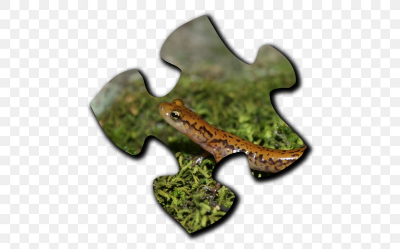 Google Play Lizard Jigsaw Puzzles Frog Jigsaw Puzzles, PNG, 512x512px, Google Play, Frog Jigsaw Puzzles, Google, Google Translate, Lizard Jigsaw Puzzles Download Free
