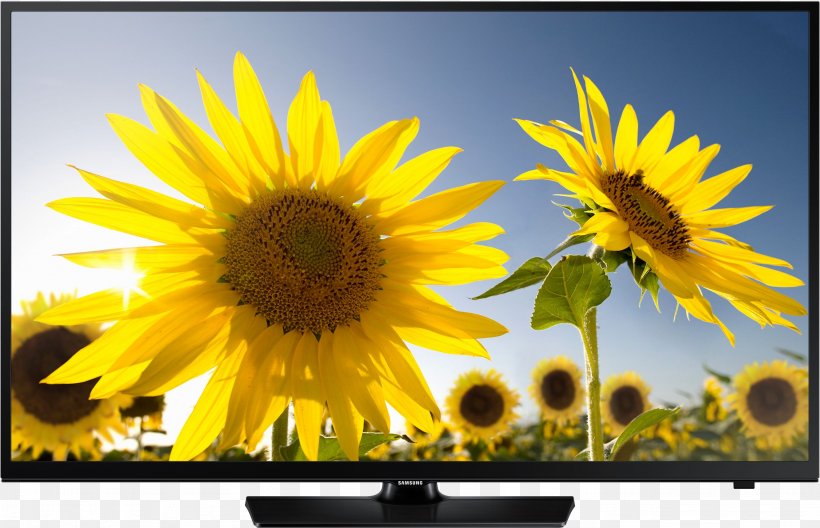 LED-backlit LCD Samsung Smart TV High-definition Television 1080p, PNG, 2668x1719px, 4k Resolution, Ledbacklit Lcd, Daisy Family, Display Device, Flower Download Free