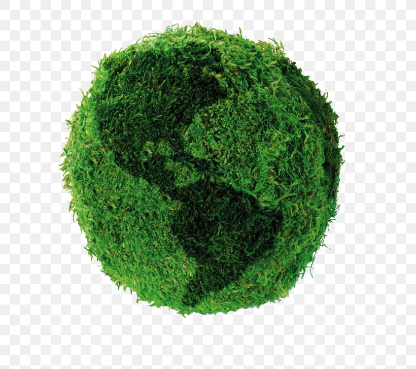Sustainability Company Business Happy Lawn Care, PNG, 660x727px, Sustainability, Business, Company, Grass, Green Download Free