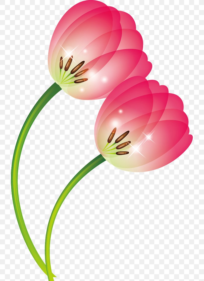 Tulip Clip Art, PNG, 731x1127px, Tulip, Balloon, Flower, Flowering Plant, Jpeg Network Graphics Download Free