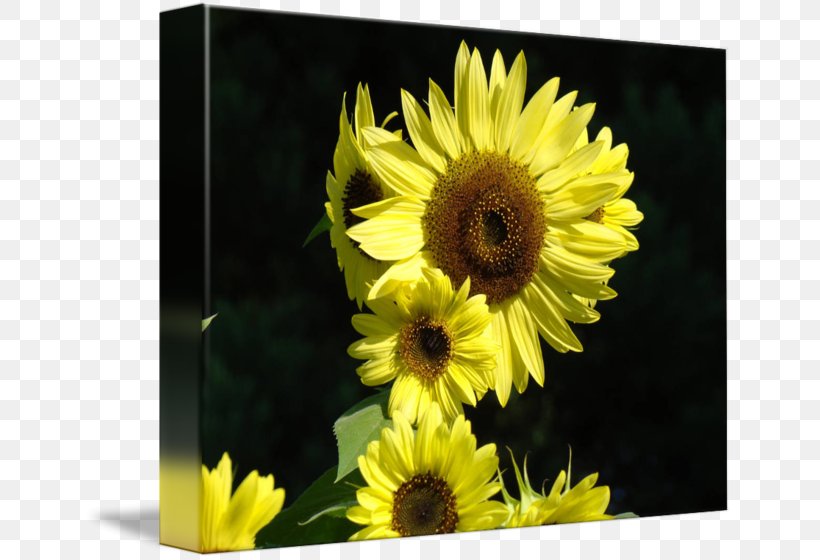 Car Yellow Total Sum Of Squares Lunchbox, PNG, 650x560px, Car, Bag, Blanket, Canvas, Craft Magnets Download Free