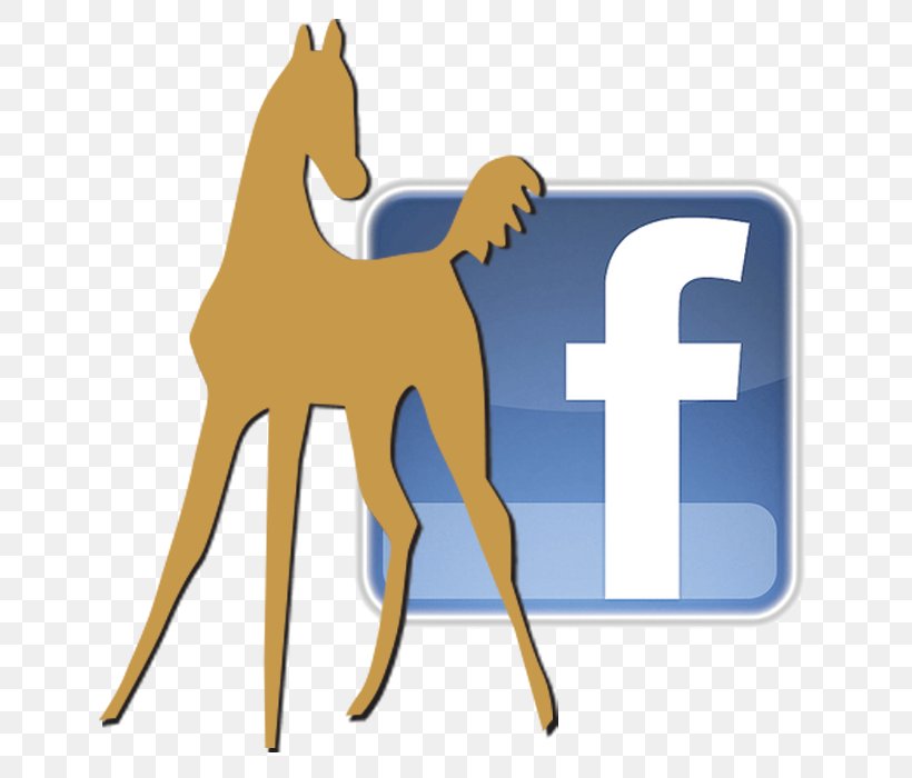 Clip Art Facebook Logo, PNG, 710x700px, Facebook, Advertising, Camel Like Mammal, Carnivoran, Commercial Greenhouse Download Free