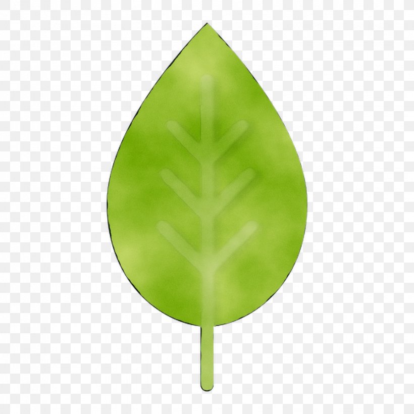 Green Leaf, PNG, 1125x1125px, Green, Anthurium, Leaf, Plant, Tree Download Free