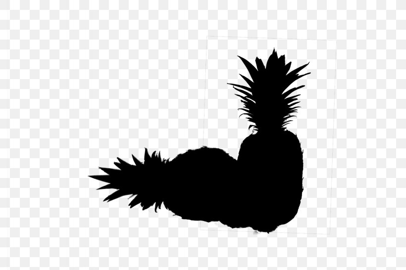 Rooster Chicken Silhouette Feather Beak, PNG, 2048x1365px, Rooster, Beak, Black, Black M, Blackandwhite Download Free