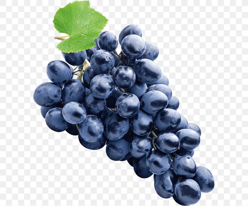Sultana Concord Grape Zante Currant Common Grape Vine, PNG, 601x681px, Sultana, Amazon Grape, Berry, Bilberry, Blueberry Download Free