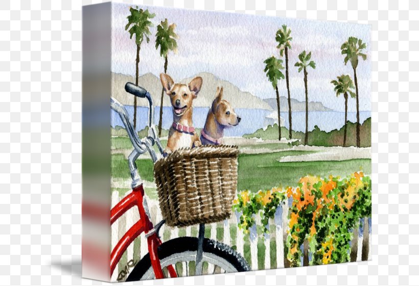 Bicycle Baskets Gallery Wrap Canvas Chihuahua, PNG, 650x561px, Bicycle Baskets, Art, Basket, Bicycle, Bicycle Accessory Download Free
