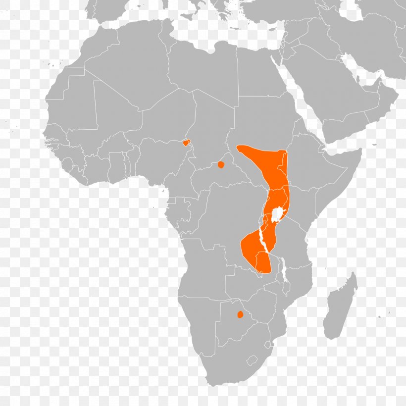 North Africa Central Africa West Africa East Africa Equatorial Africa, PNG, 1200x1200px, North Africa, Adal Sultanate, Africa, Afroasiatic Languages, Blank Map Download Free