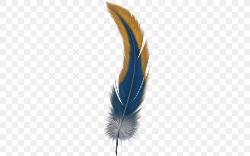 Bird Feather, PNG, 512x512px, Bird, Color, Feather, Flight Feather, Quill Download Free
