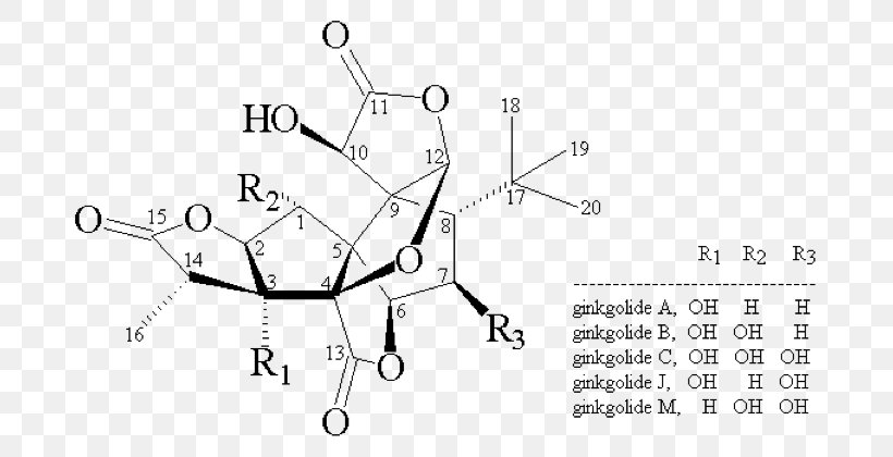 Ginkgo Biloba Glycoside Quercetin Flavones Flavonoid, PNG, 705x420px, Watercolor, Cartoon, Flower, Frame, Heart Download Free