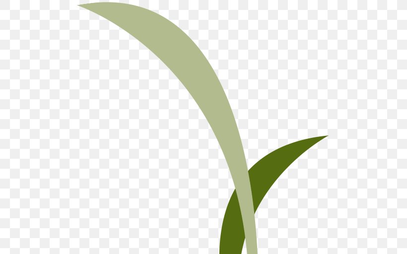 Leaf Logo Grasses Font, PNG, 512x512px, Leaf, Family, Grass, Grass Family, Grasses Download Free