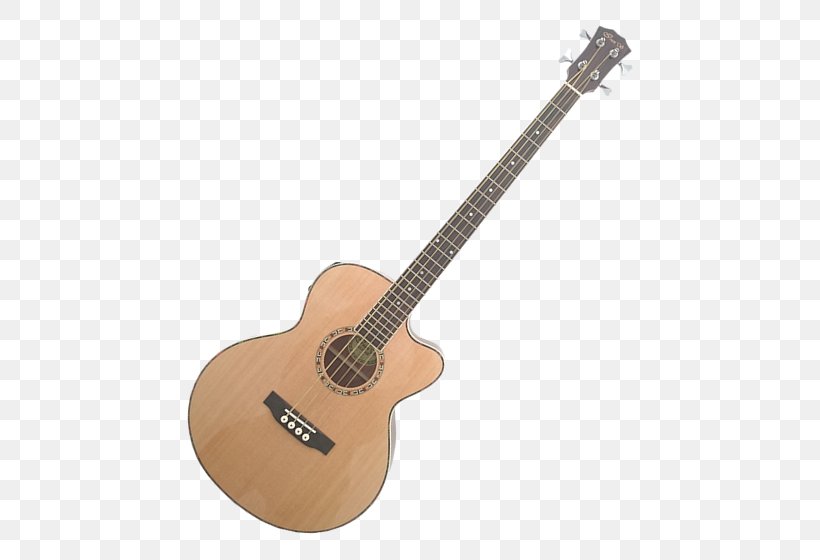 Steel-string Acoustic Guitar Acoustic-electric Guitar Twelve-string Guitar, PNG, 560x560px, Watercolor, Cartoon, Flower, Frame, Heart Download Free
