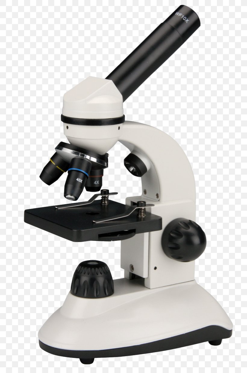 Stereo Microscope Frederiksen Scientific A / S Science Optical Microscope, PNG, 795x1239px, Microscope, Eyepiece, Magnification, Microscope Slides, Optical Instrument Download Free