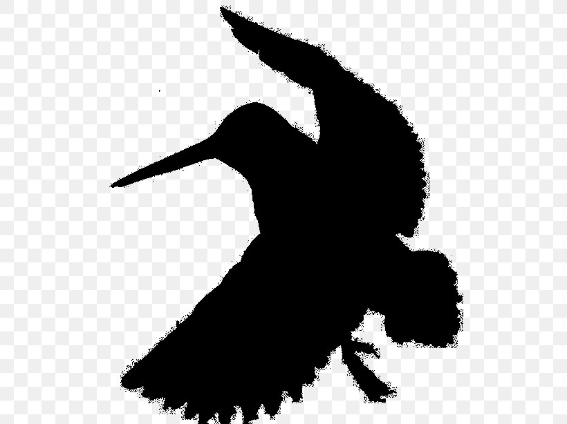 Swans Beak Goose Bird Duck, PNG, 520x614px, Swans, Beak, Bird, Duck, Fauna Download Free
