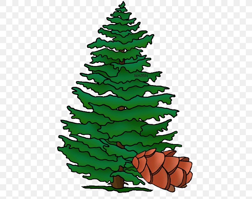 Christmas Tree Spruce Pennsylvania Fir Pine, PNG, 465x648px, Christmas Tree, Bald Cypress, Branch, Cedar, Christmas Download Free