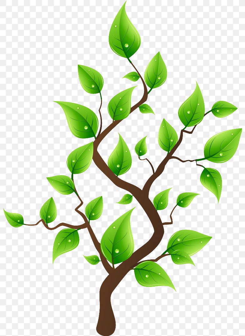 Clip Art Tree Drawing Image, PNG, 800x1123px, Tree, Branch, Drawing, Flower, Flowerpot Download Free