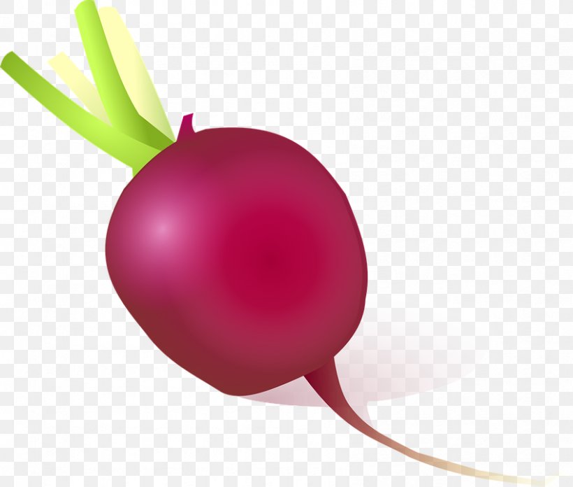 Daikon Vegetable Turnip Clip Art, PNG, 848x720px, Beetroot, Beet, Food, Fruit, Ingredient Download Free