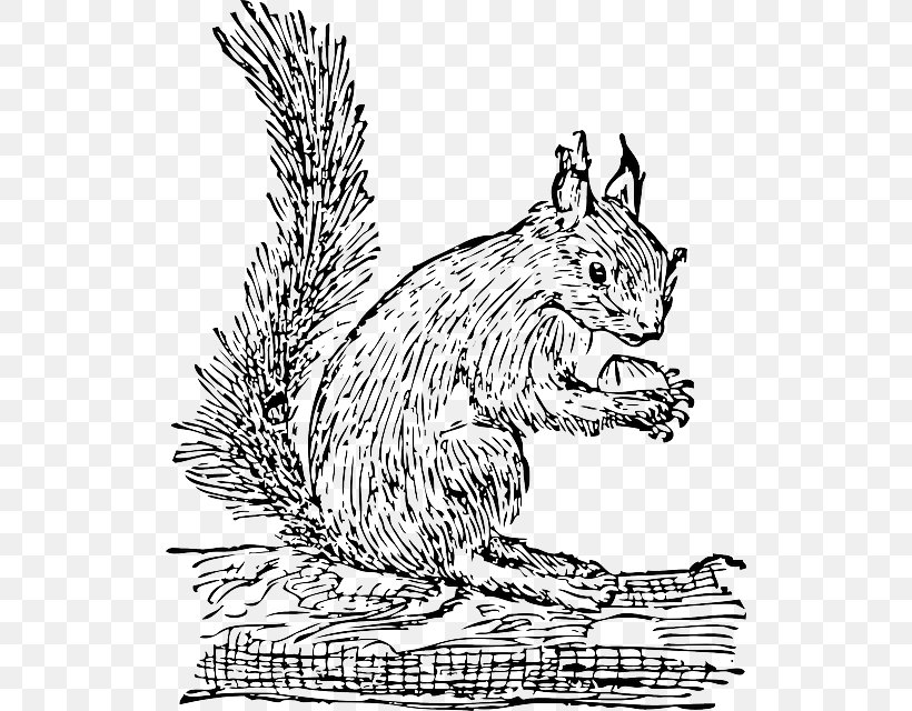 Eastern Gray Squirrel Rodent Clip Art, PNG, 522x640px, Squirrel, Art, Black And White, Carnivoran, Cat Download Free