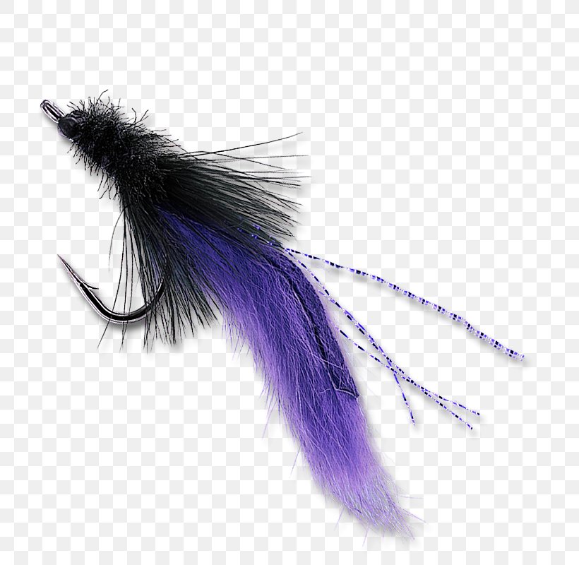 Purple, PNG, 800x800px, Purple, Feather, Violet, Wing Download Free