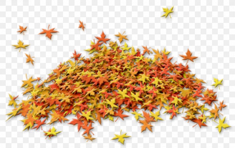 Autumn Leaves Leaf Clip Art, PNG, 980x618px, Autumn, Autumn Leaves, Leaf, Maple Leaf, Message Download Free