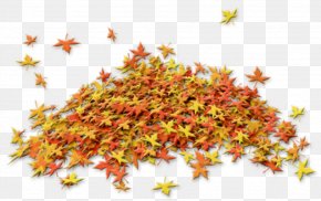 Autumn - Autumn Leaves Leaf Clip Art PNG