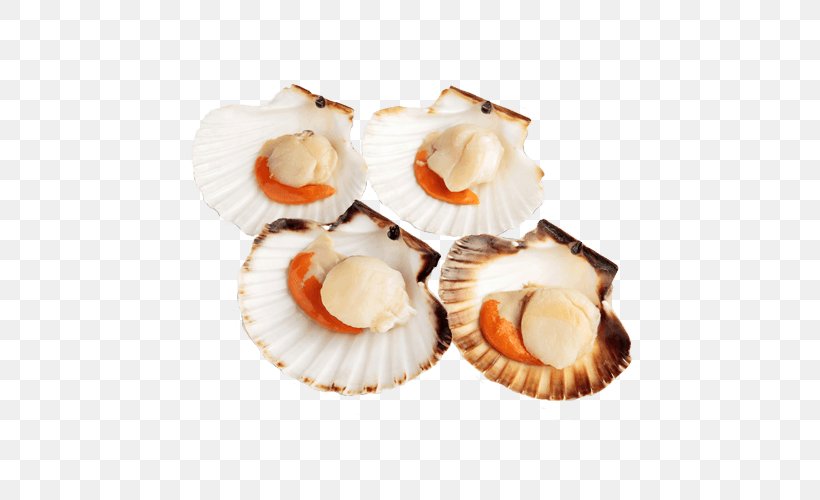 Great Scallop Typographical Error Pecten Jacobaeus Bivalvia Food, PNG, 500x500px, Great Scallop, Animal Source Foods, Bivalvia, Clam, Clams Oysters Mussels And Scallops Download Free
