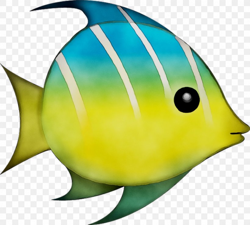 Marine Biology Marine Mammal Fauna Clip Art, PNG, 1150x1035px, Marine Biology, Beak, Biology, Bonyfish, Butterflyfish Download Free