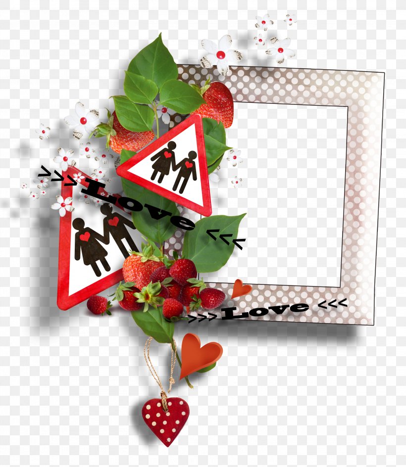 Valentine's Day Love Picture Frames February 14, PNG, 2923x3366px, Valentine S Day, Depositfiles, February 14, Flower, Flowering Plant Download Free
