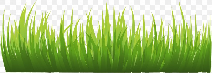 Animation Icon, PNG, 3059x1064px, Lawn, Cartoon, Commodity, Grass, Grass  Family Download Free