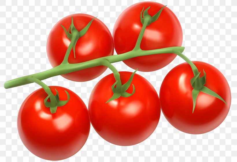 Cherry Tomato Vegetable Bush Tomato Clip Art, PNG, 3500x2390px, Cherry Tomato, Acerola, Acerola Family, Bell Peppers And Chili Peppers, Bush Tomato Download Free