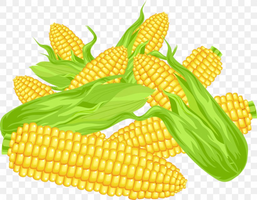 Corn On The Cob Vegetarian Cuisine Vegetable Food Fruit, PNG, 1604x1251px, Corn On The Cob, Berry, Commodity, Cooking, Corn Kernel Download Free