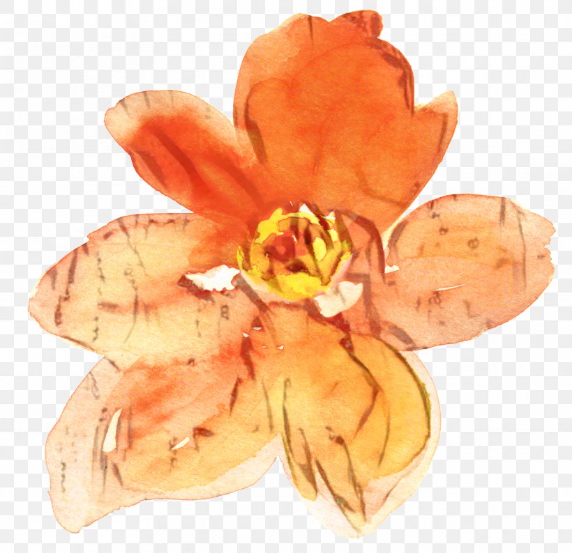 Lily Flower Cartoon, PNG, 1870x1811px, Petal, Crocus, Cut Flowers, Daylily, Flower Download Free