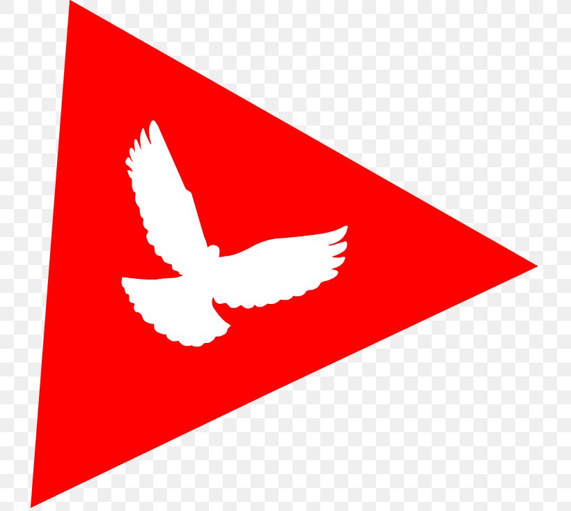 Triangle Cuba Television Logo, PNG, 733x733px, Triangle, Area, Beak, Brand, Cuba Download Free