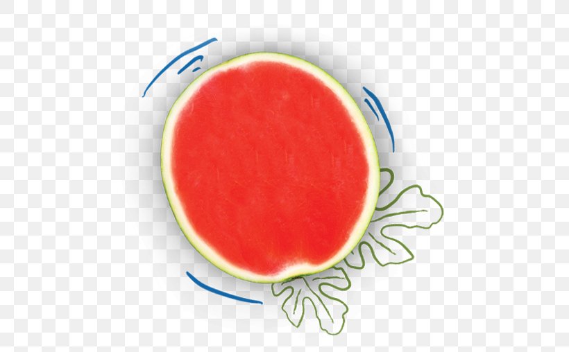 Watermelon Cantaloupe Abortion Clinic Nutrient, PNG, 507x508px, Watercolor, Cartoon, Flower, Frame, Heart Download Free