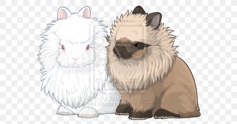 Whiskers Netherland Dwarf Rabbit Lionhead Rabbit Siamese Cat, PNG, 600x431px, Whiskers, Camel Like Mammal, Carnivoran, Cat, Cat Like Mammal Download Free
