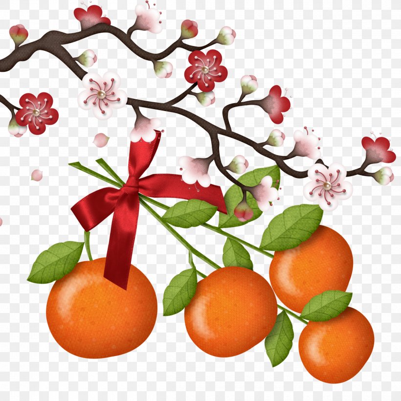 Chinese New Year Happiness Reunion Dinner Fu Oudejaarsdag Van De Maankalender, PNG, 2500x2500px, Chinese New Year, Apple, Citrus, Firecracker, Flower Download Free